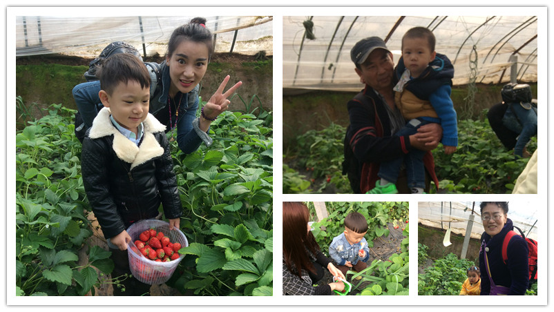 BBunion国际早教石家庄中心活动花絮：相约在春天，踏青采摘季