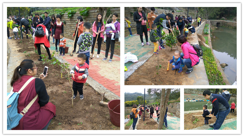 BBunion国际早教泉州中骏中心:我与小树齐成长 BBunion国际早教泉州中骏中心:我与小树齐成长