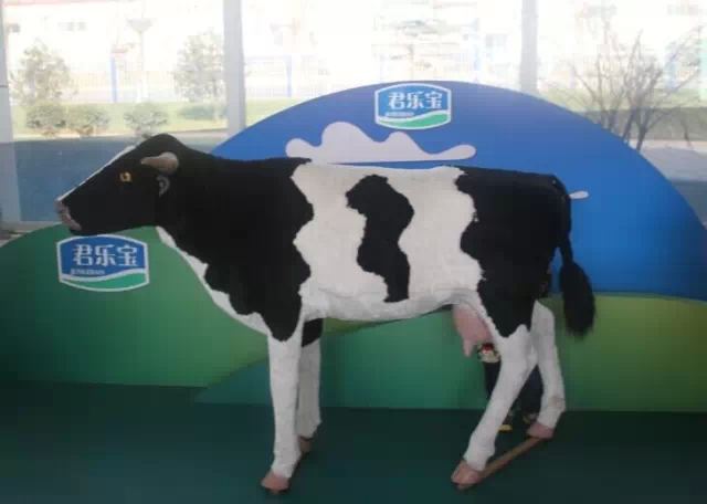 石家庄6 石家庄6